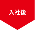 入社後